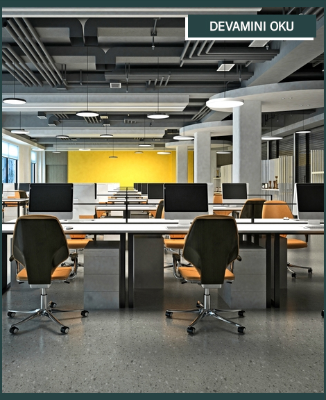 Ofis Dekorasyonu
